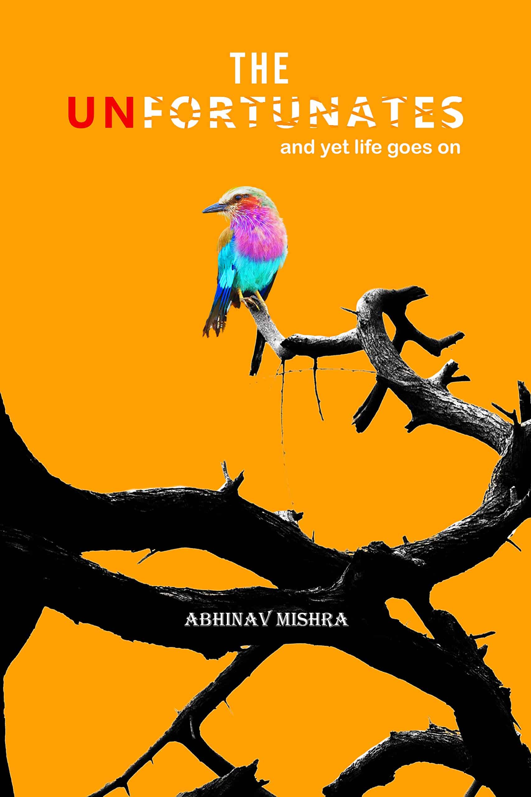 The Unfortunates - A journey abhinav mishra